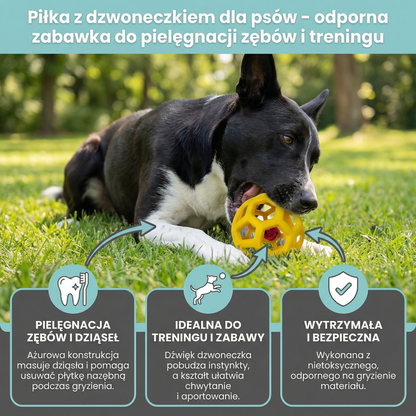Piłka z dzwoneczkiem dla psów – odporna zabawka do pielęgnacji zębów i treningu
